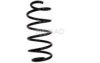 BUGIAD BSP23462 Coil Spring